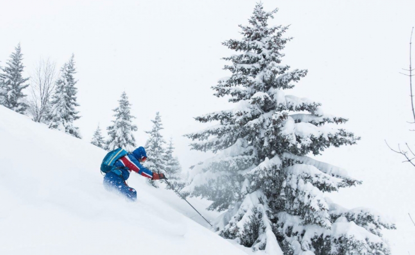ski slalom alpin vinter sne grantræer