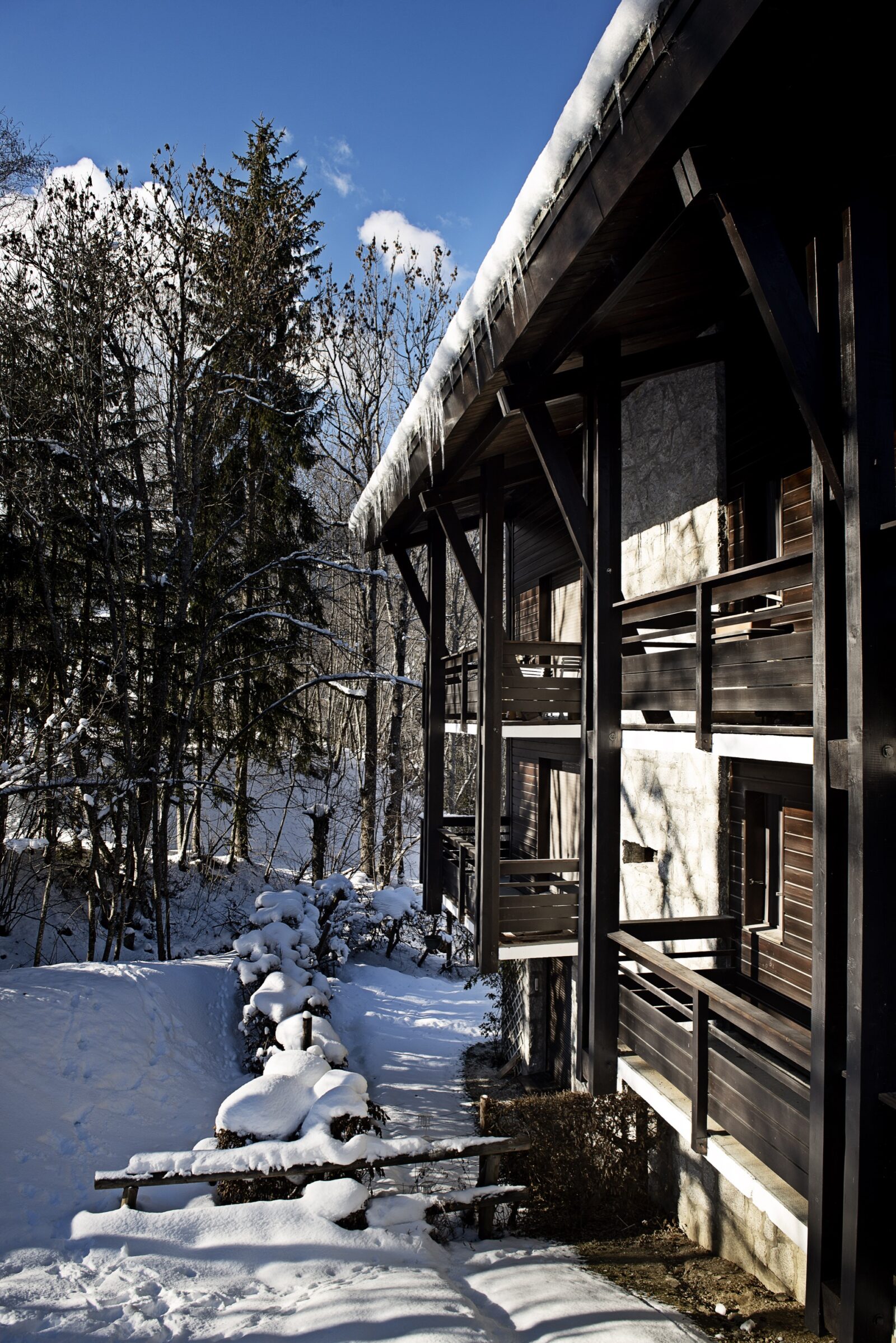 hus bolig skov vinter