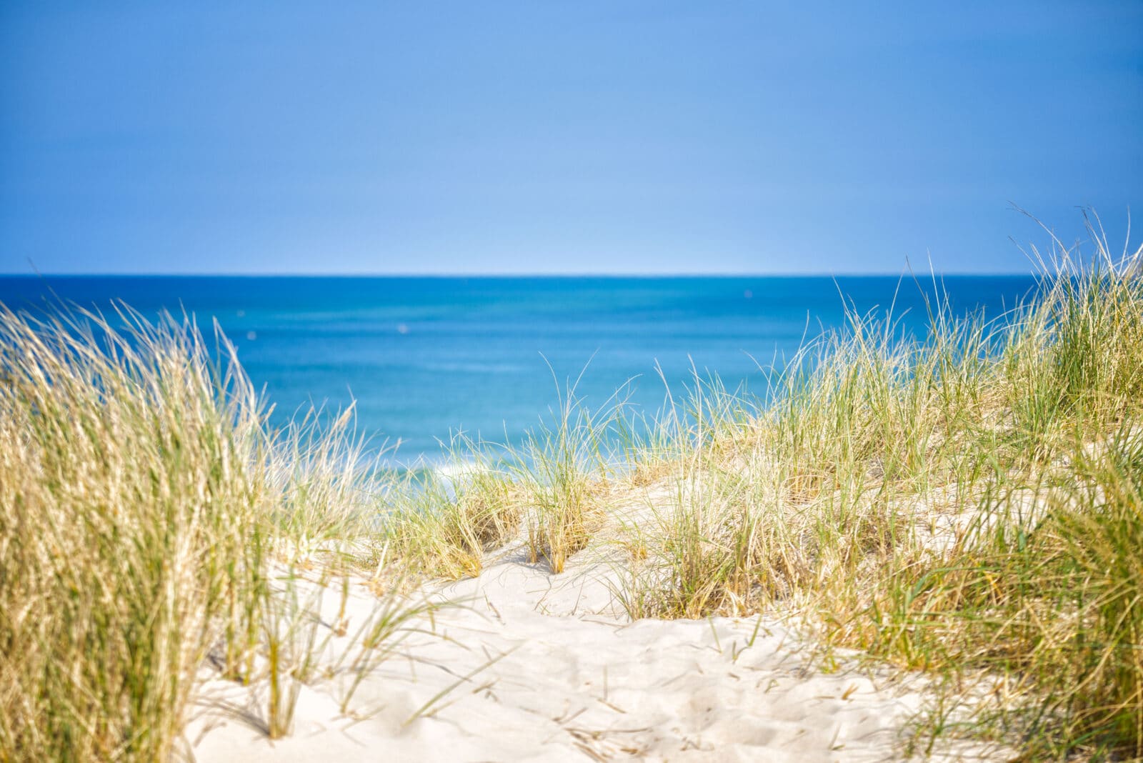 Honrbæk strand hav sand