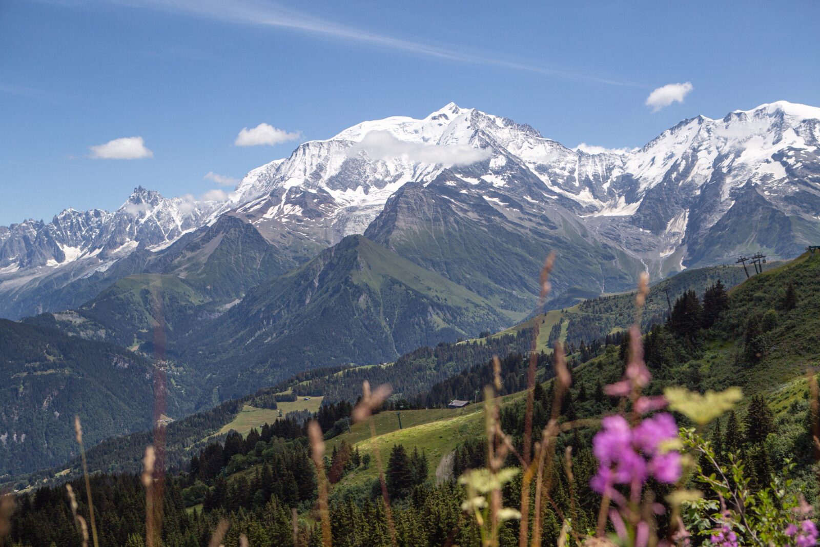 smuk kontrast sne eng