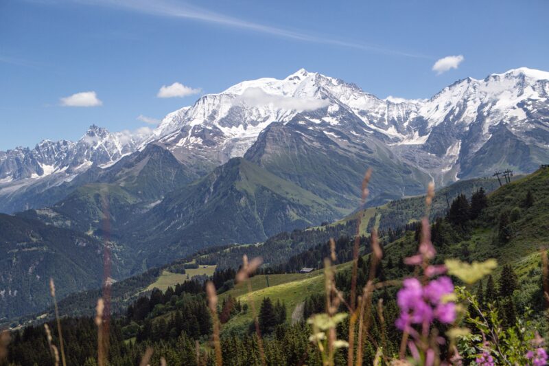 smuk kontrast sne eng