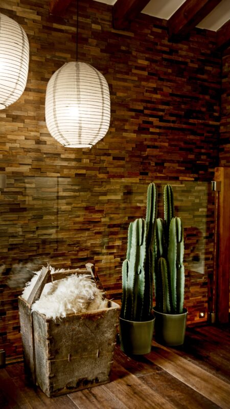 kaktus skin gang papirlampe