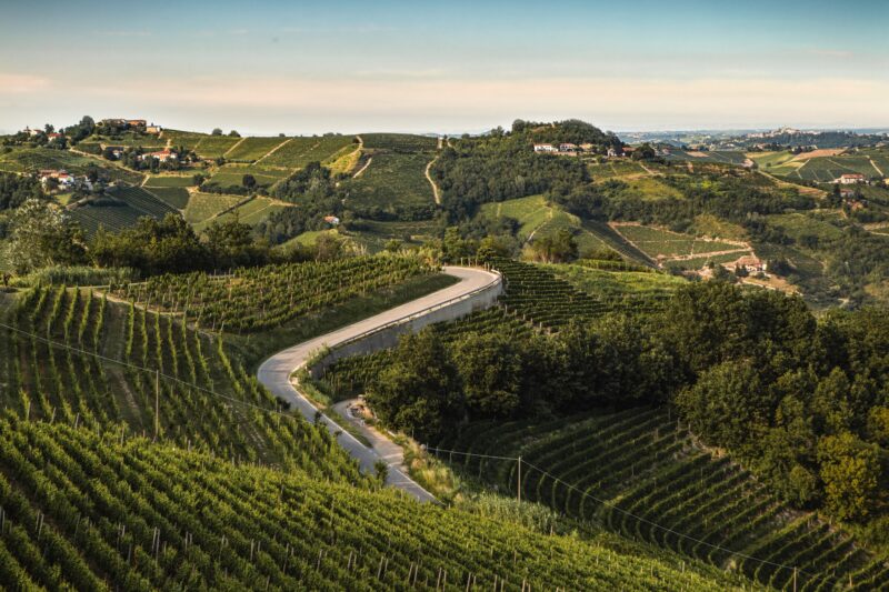 Vinranker i Piemonte