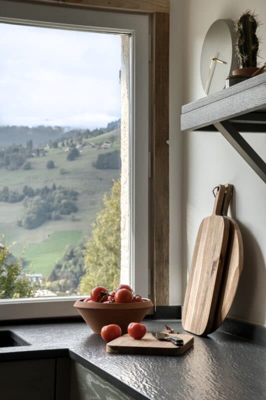 udsigt køkkenur kaktus