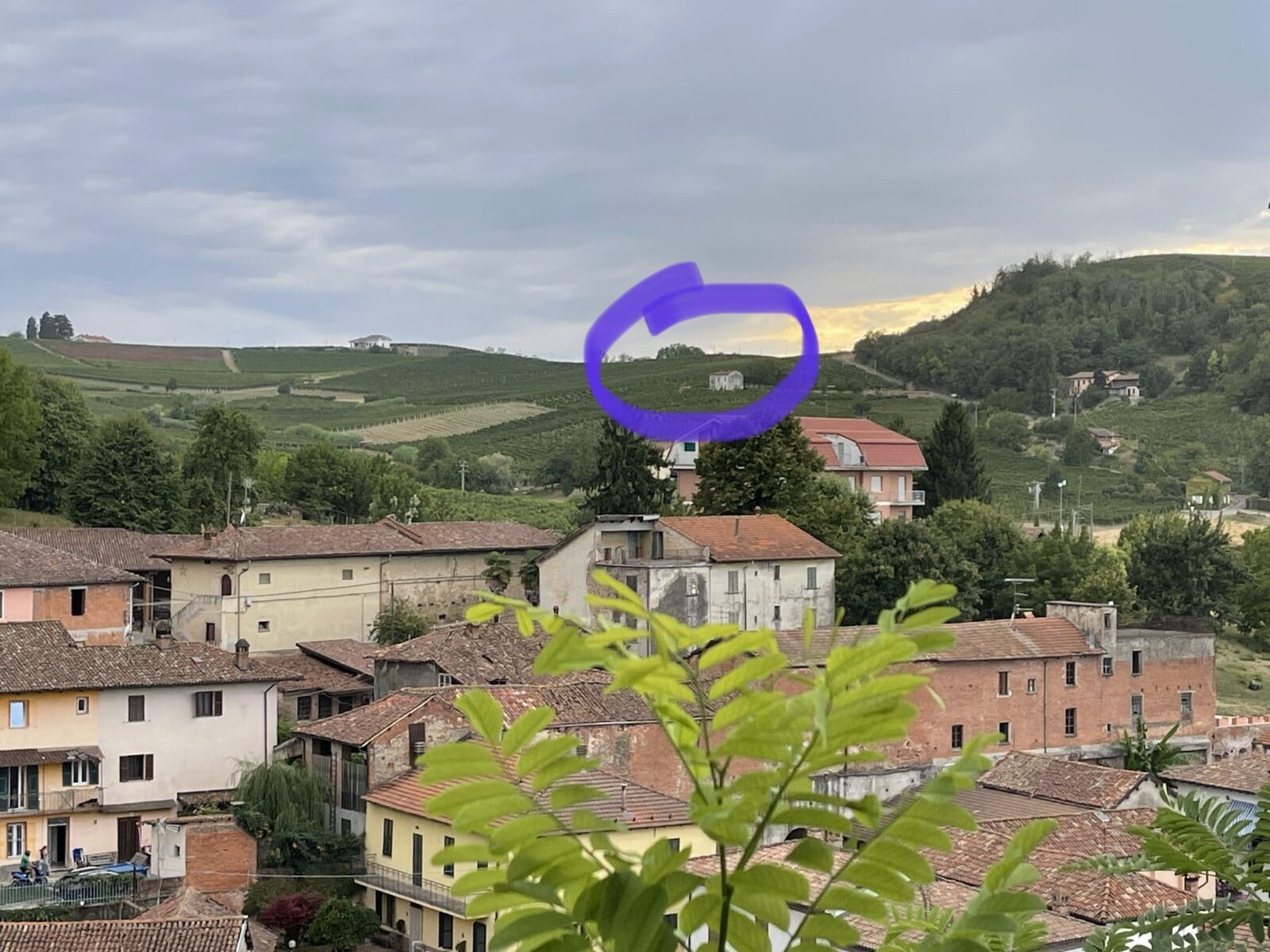 Piemonte by vinmarker huse