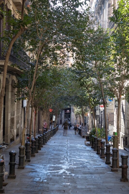 Barcelona gade træer El Gótico