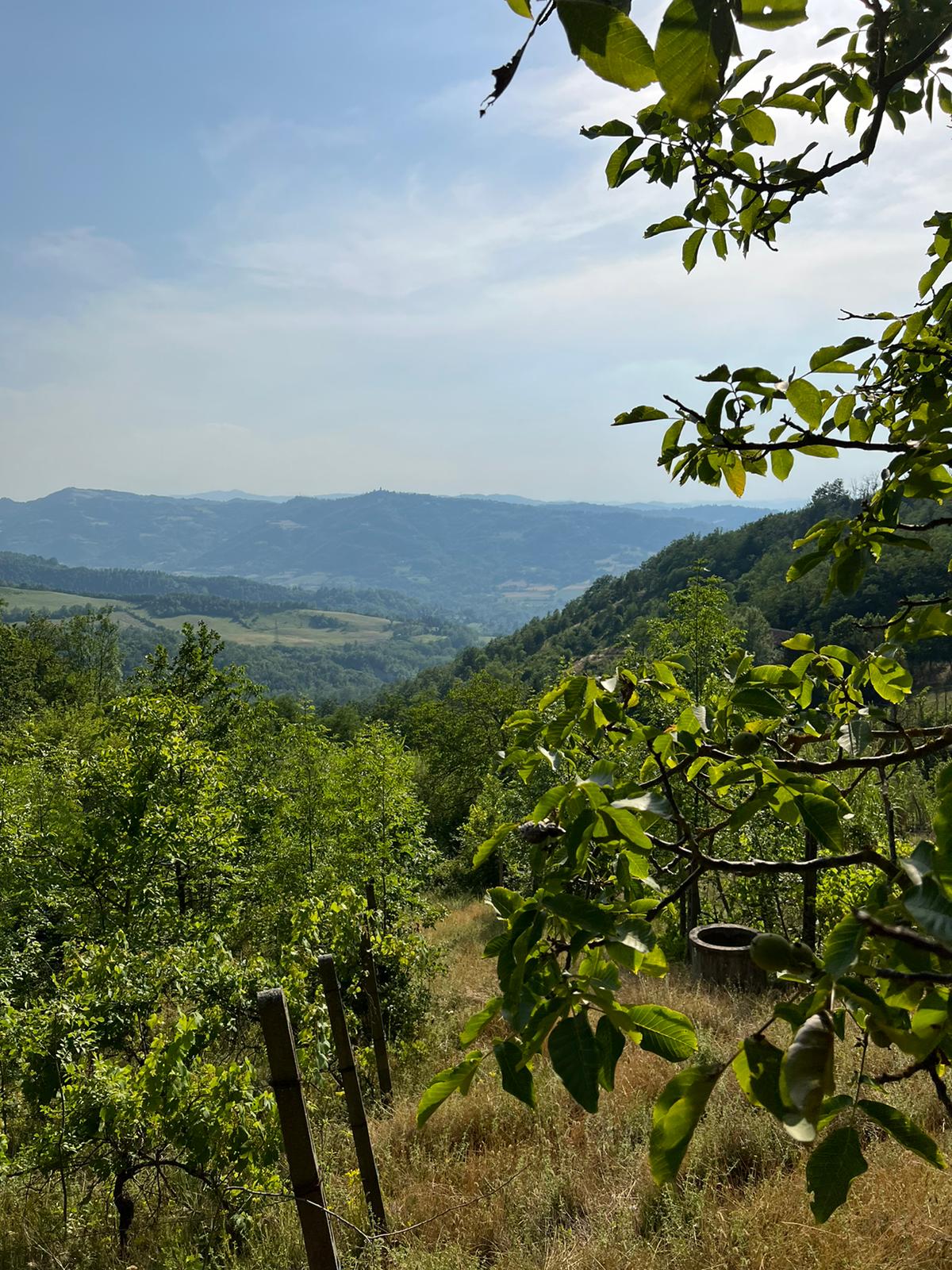Italien piemonte udsigt vinmarker