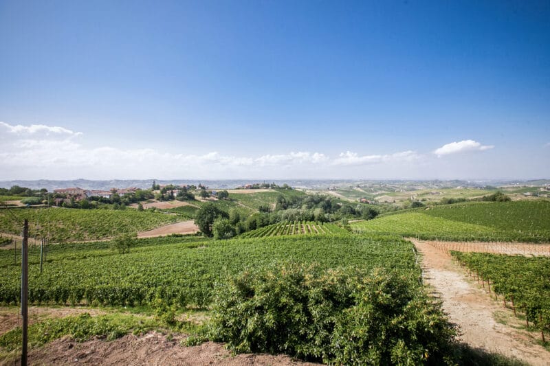 Piemonte vinmarker landskab udsigt feriebolig