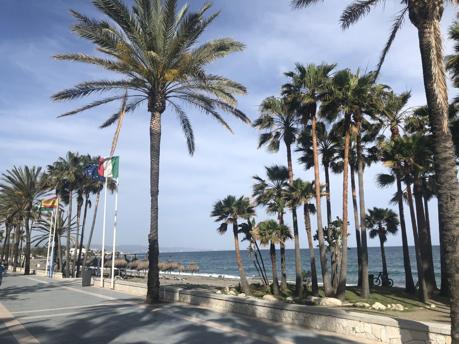 Marbella sydspanien strand kyst palmer