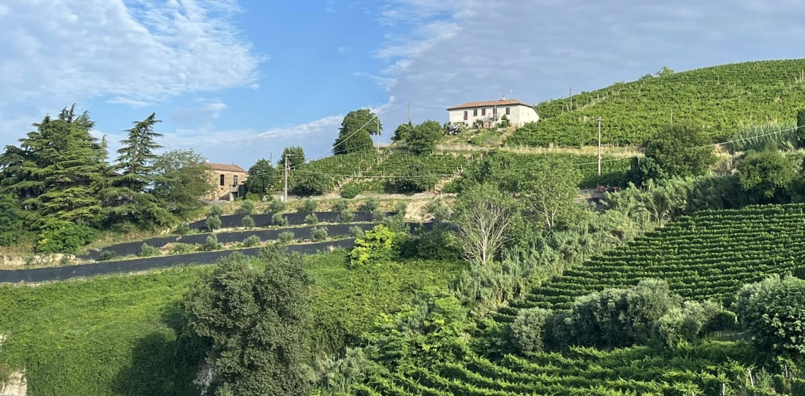 MyHomes landhus i Piemonte